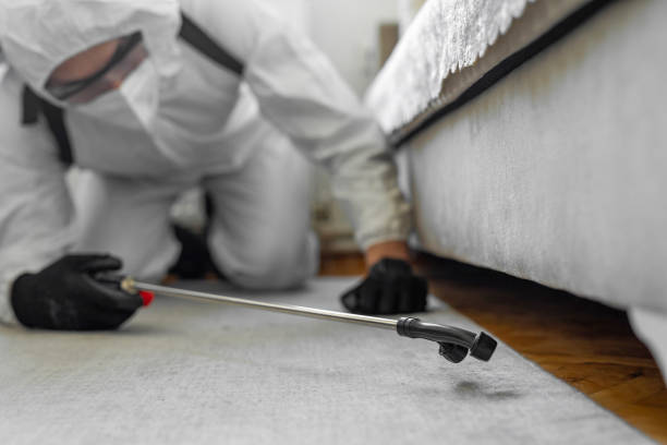 Professional Bed Bug Control technician working in Superior, WI